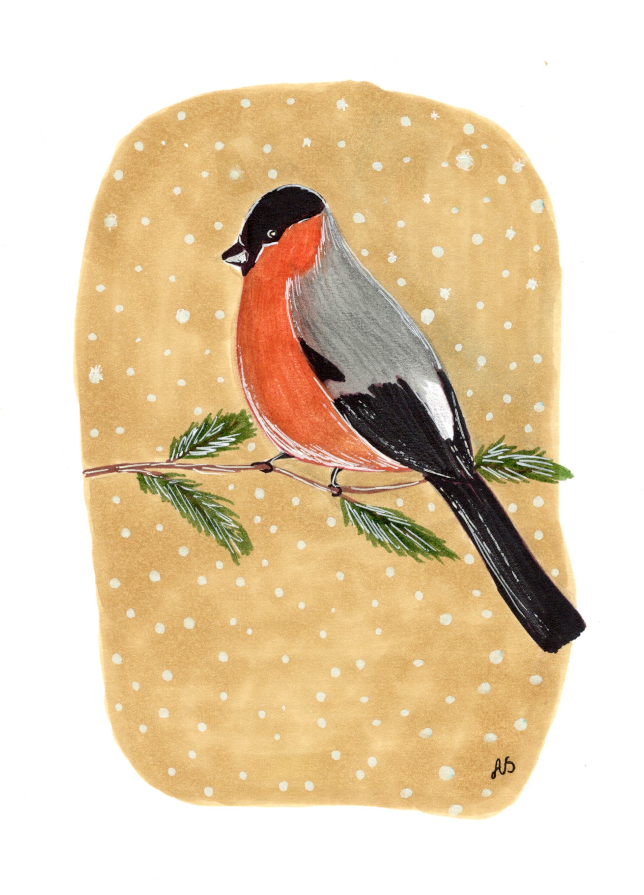 Joulukortti - Punatulkku